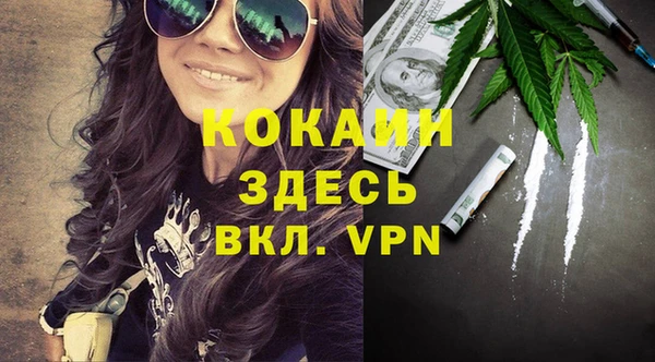 прущие грибы Новокубанск