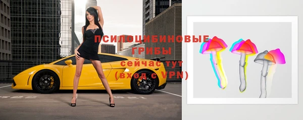 эйфоретик Новозыбков
