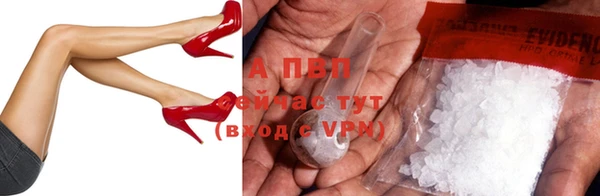 прущие грибы Новокубанск
