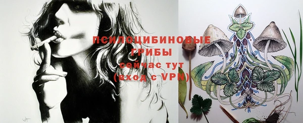 эйфоретик Новозыбков