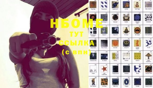 прущие грибы Новокубанск