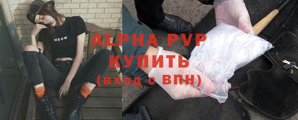 прущие грибы Новокубанск